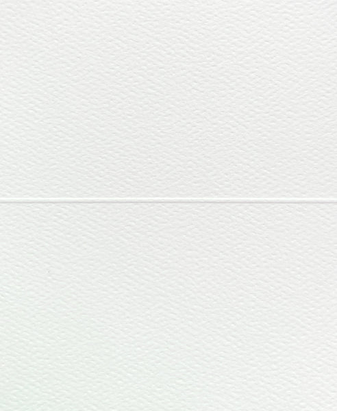Place Cards Blank 10pack