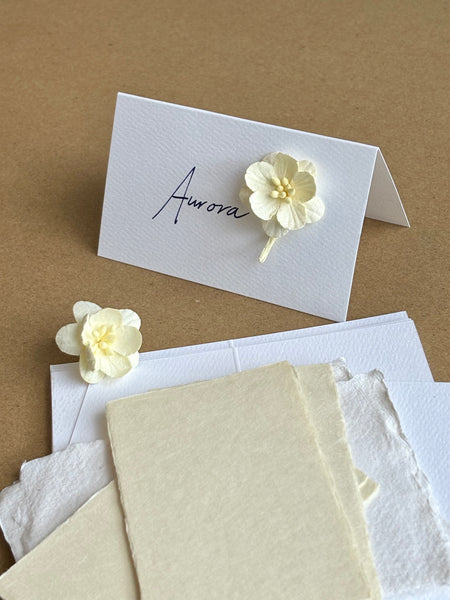 Place Cards Blank 10pack