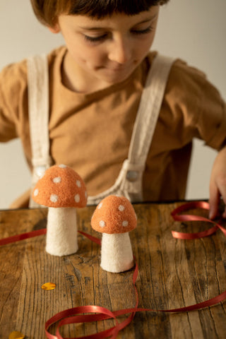 Muskhane Dotty Felt Mushrooms