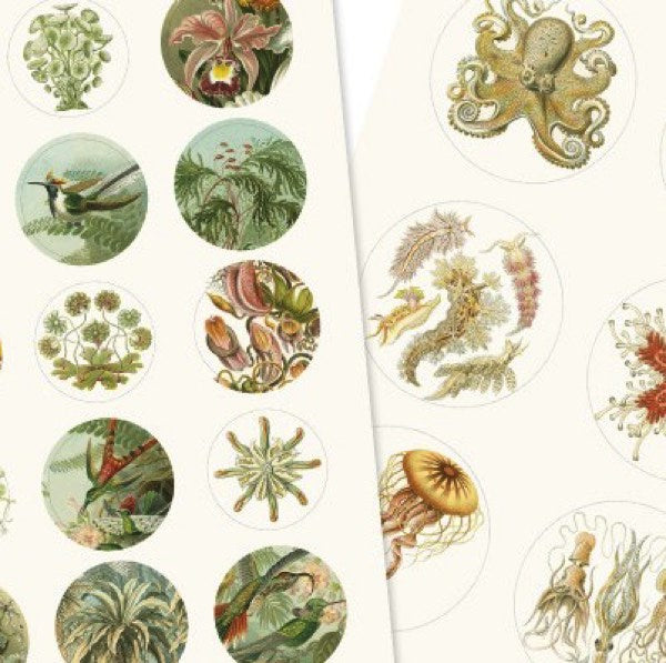 The Pepin Press Label and Sticker Books