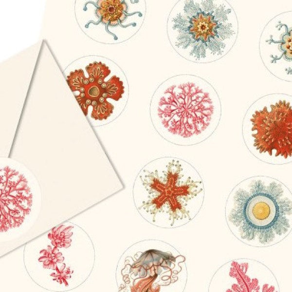 The Pepin Press Label and Sticker Books