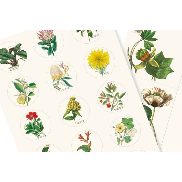 The Pepin Press Label and Sticker Books