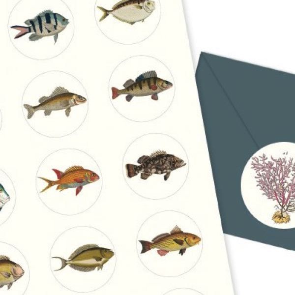 The Pepin Press Label and Sticker Books