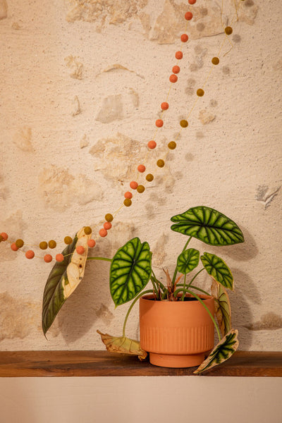 Muskhane Malla Felt Garland