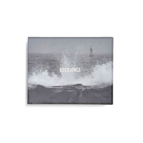 The School of Life Resilience