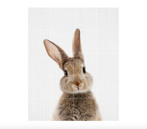 Rabbit (Double Sided) Wall Art / 80x100cm