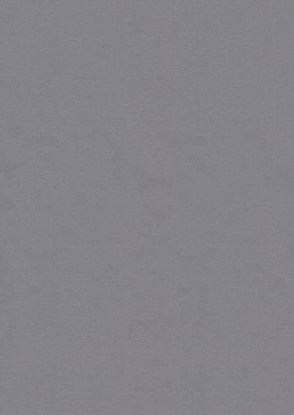 A4 Paper / GREY SILVER