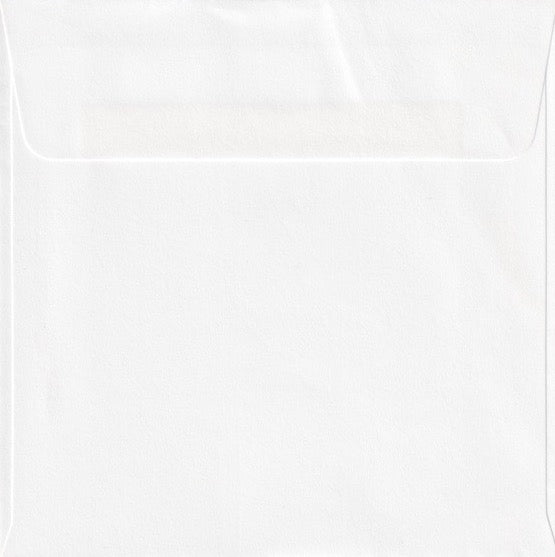 Envelopes 20pk | 13x13 Square