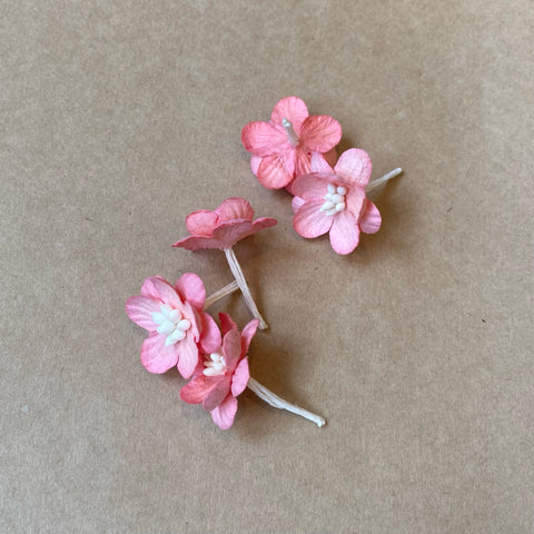 Paper Blossoms / Coral