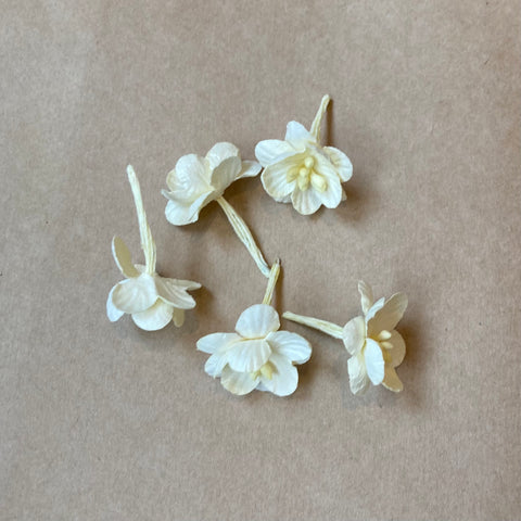 Paper Blossoms / Cream
