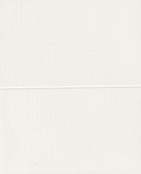 Place Cards Blank 10pack