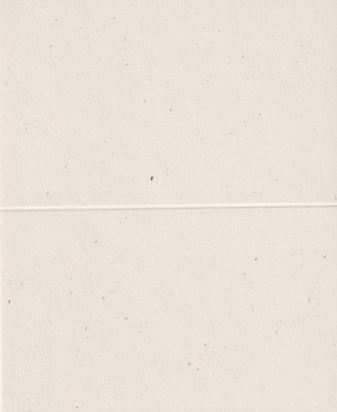 Place Cards Blank 10pack