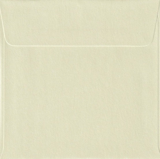 Envelopes 20pk | 13x13 Square