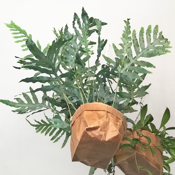 Turtleback (Waxed Paper) Bag: Sml / Med