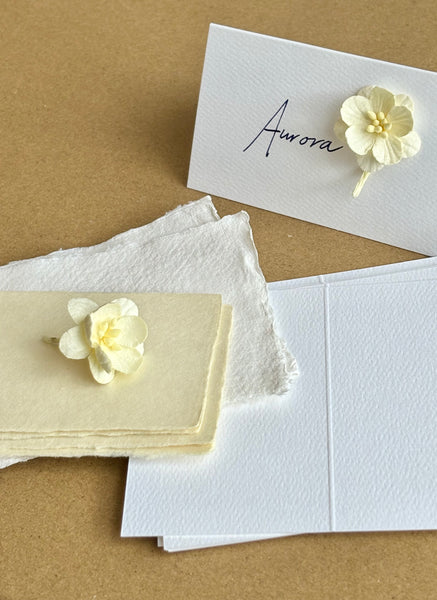 Paper Blossoms / Cream