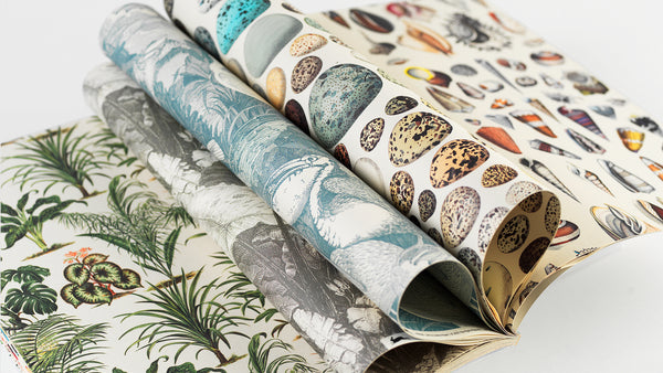 The Pepin Press | wrapping paper books