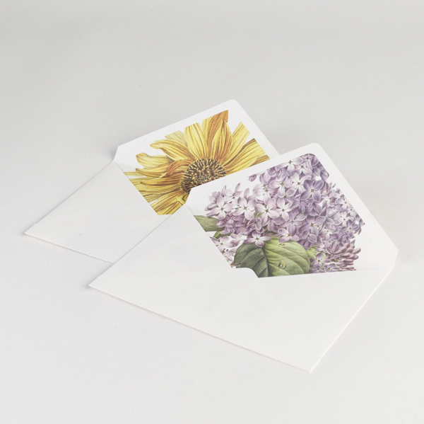 Zetta Florence BOXED NOTECARD SETS