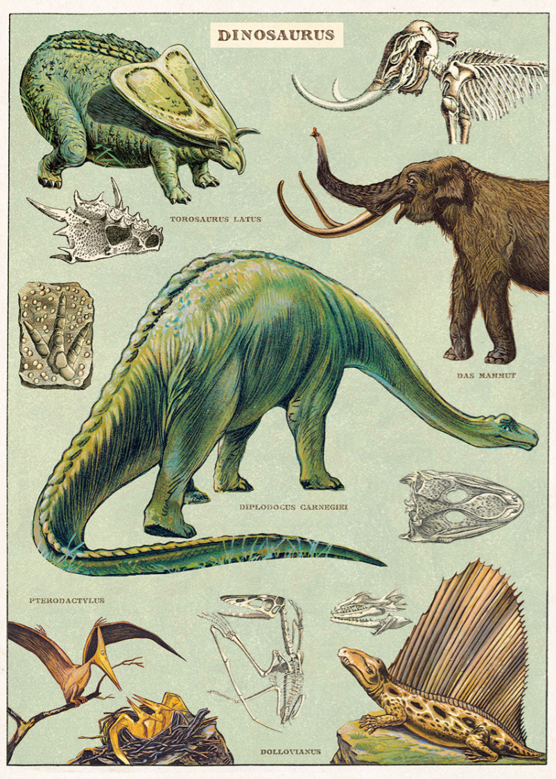 Cavallini & Co Poster Wrap / Dinosaurs