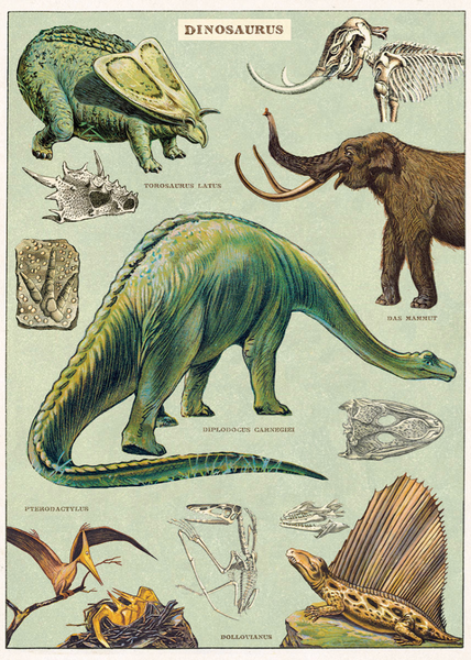 Cavallini & Co Posters