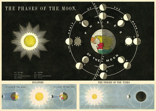 Cavallini & Co Poster Wrap / Phases of Moon