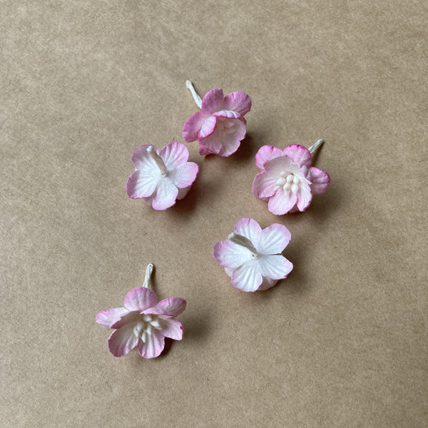 Paper Blossoms