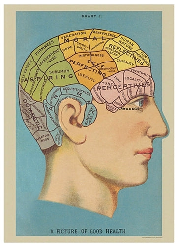 Cavallini & Co Posters