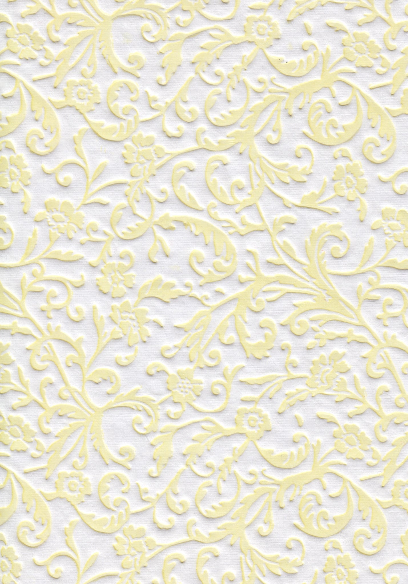 A4 Paper / No.36 Embossed Florentine