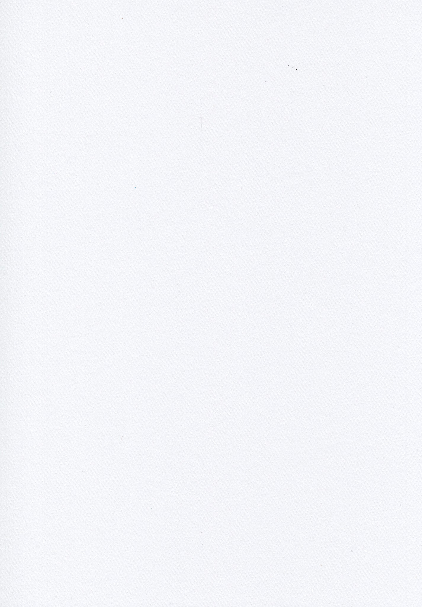 Via Paper A4 Paper Via Felt Bright White 216gsm – Pulp Creative Paper