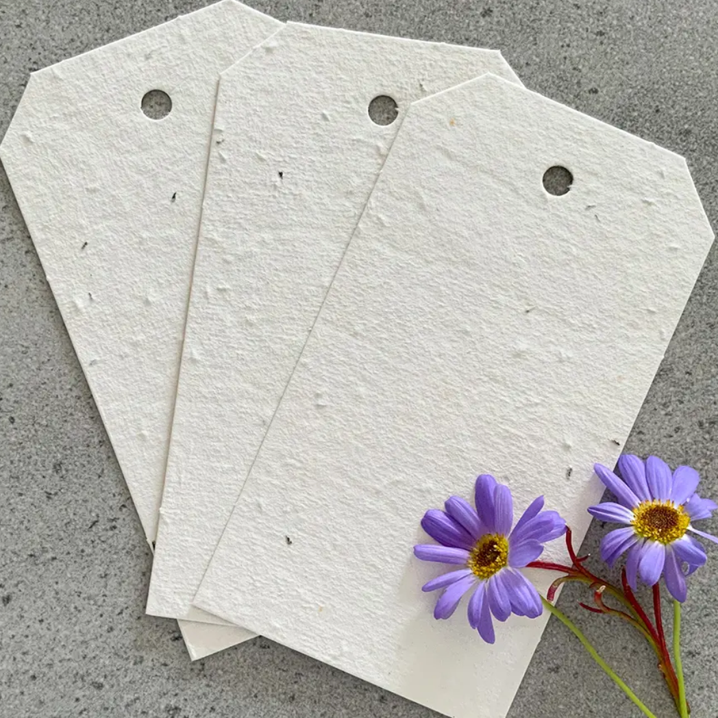 Paper-Go-Round Seed Paper / Swing Tags