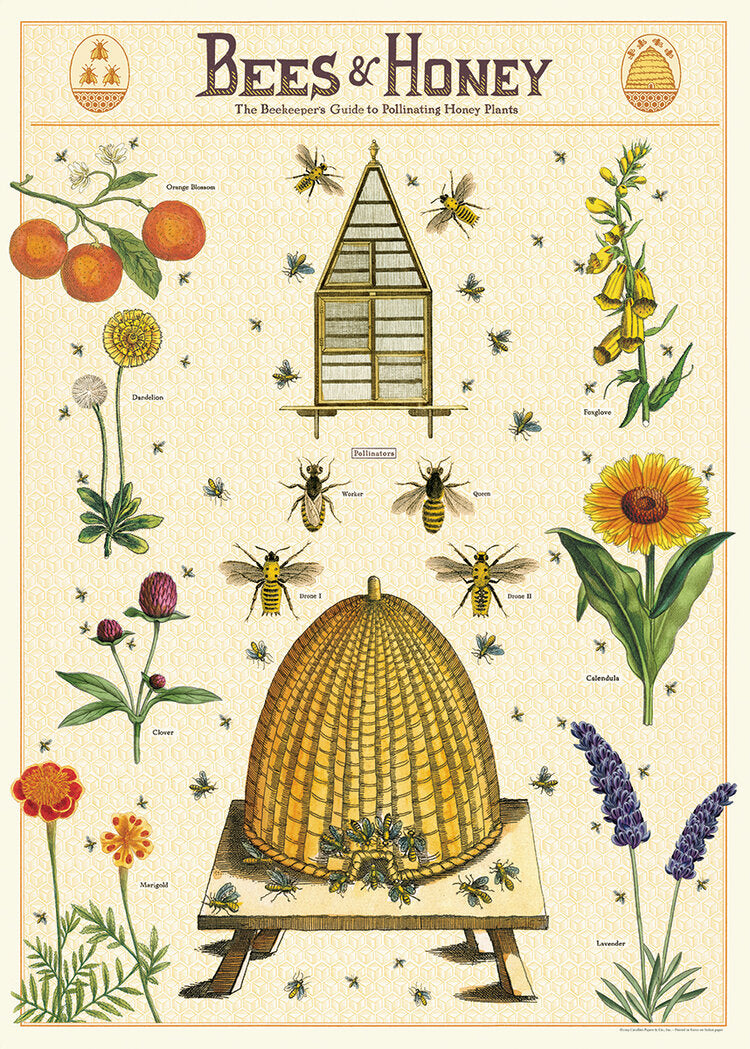 Cavallini & Co Poster Wrap / Bees & Honey