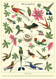 Cavallini & Co Poster Wrap / Hummingbirds