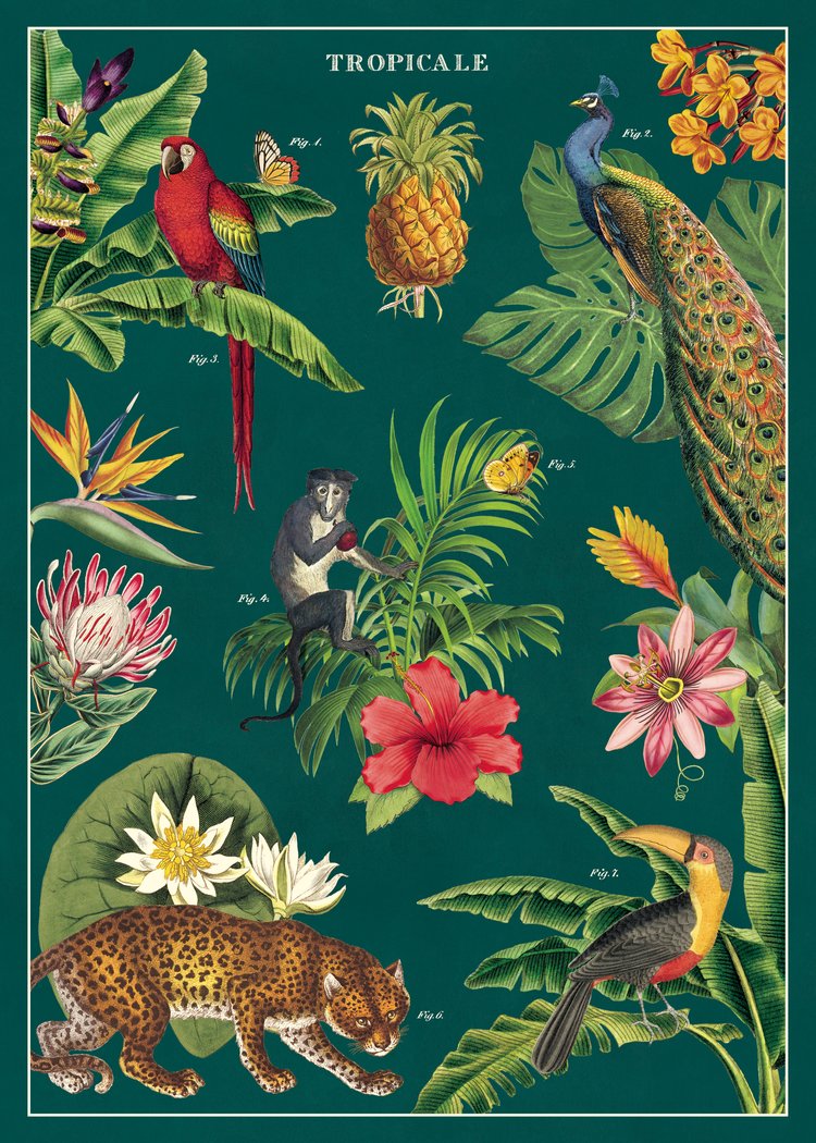 Cavallini & Co Poster Wrap / Tropicale