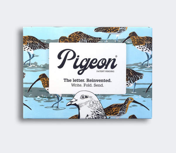 PIGEON: 6 letters to send