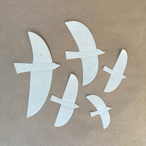 Paper Seabirds / Natural