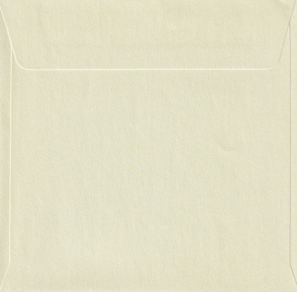 Envelopes 20pk | 16x16 Square