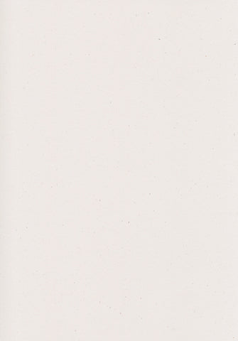 A4 Paper / Speckletone True White 216gsm